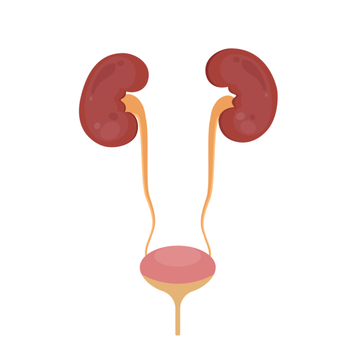 Best Urology Specialist in Vijayawada
