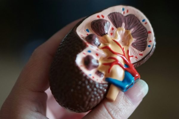 AMERICAN KIDNEY INSTITUTE UROLOGY