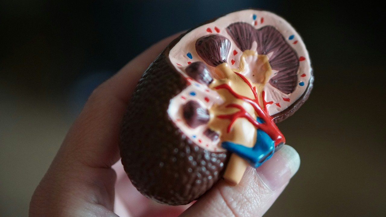 AMERICAN KIDNEY INSTITUTE UROLOGY